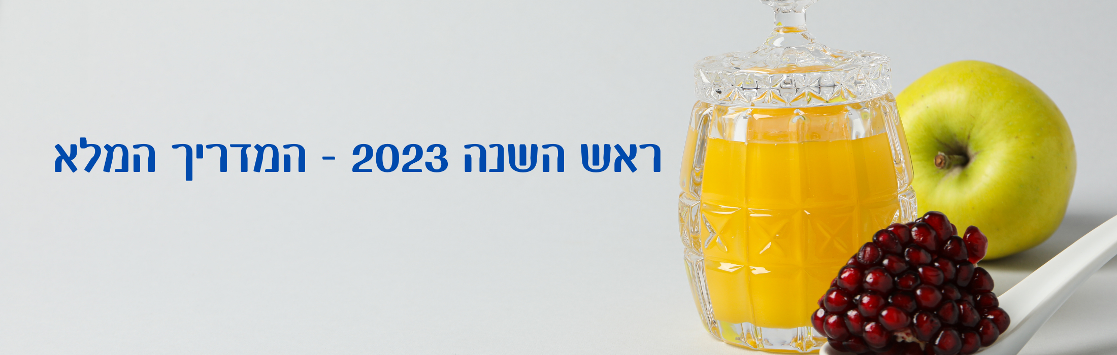  השנה – המדריך המלא – פורסם בכל זכות